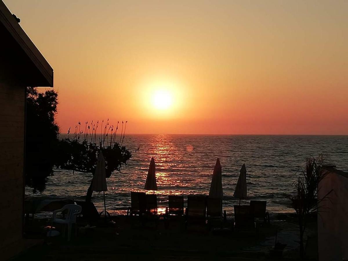 Agia Marina Chrysochous Διαμέρισμα Kato Yialia Εξωτερικό φωτογραφία